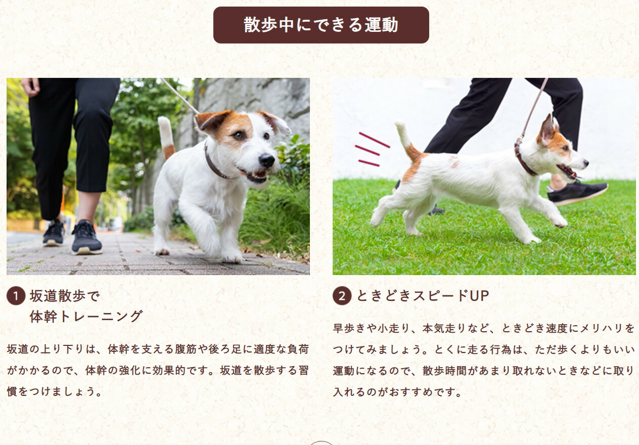 フィジカライフ シニア犬用 チキン＆大豆入り 2kg×2個セット Amazon.co.jp: フィジカライフ (Physicalife) シニア犬用 チキン