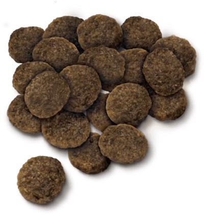 即日発送【7kg】セレクトバランス アダルトラム　成犬用 小粒　ドッグフード ベッツ・チョイス・ジャパン セレクトバランス ラム アダルト 成犬