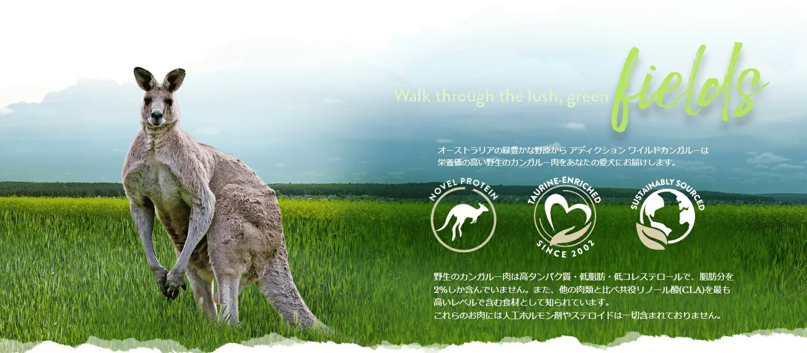 アディクション ワイルドカンガルー&アップル 500g ドッグフード