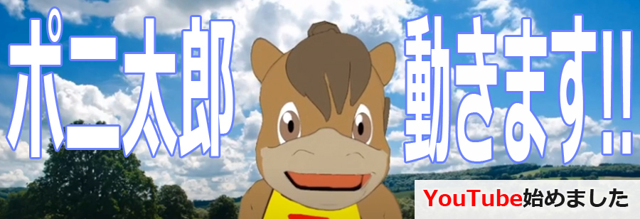 プレミアムポニー - ◎ポニ太郎 Youtuber デビュー！｜Yahoo!ショッピング