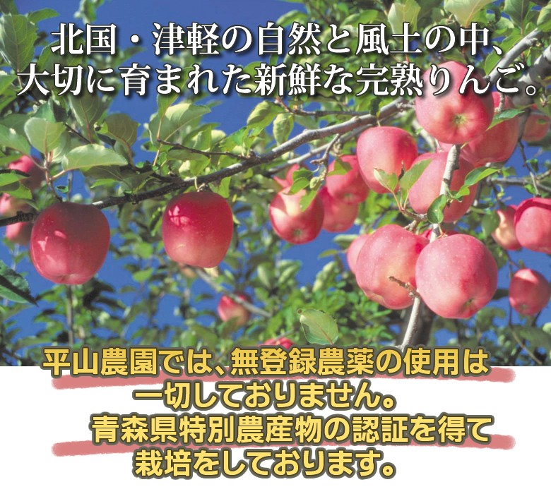 りんごジュース 3本セット 果汁100％ ふじ＆紅玉＆ミックス 青森