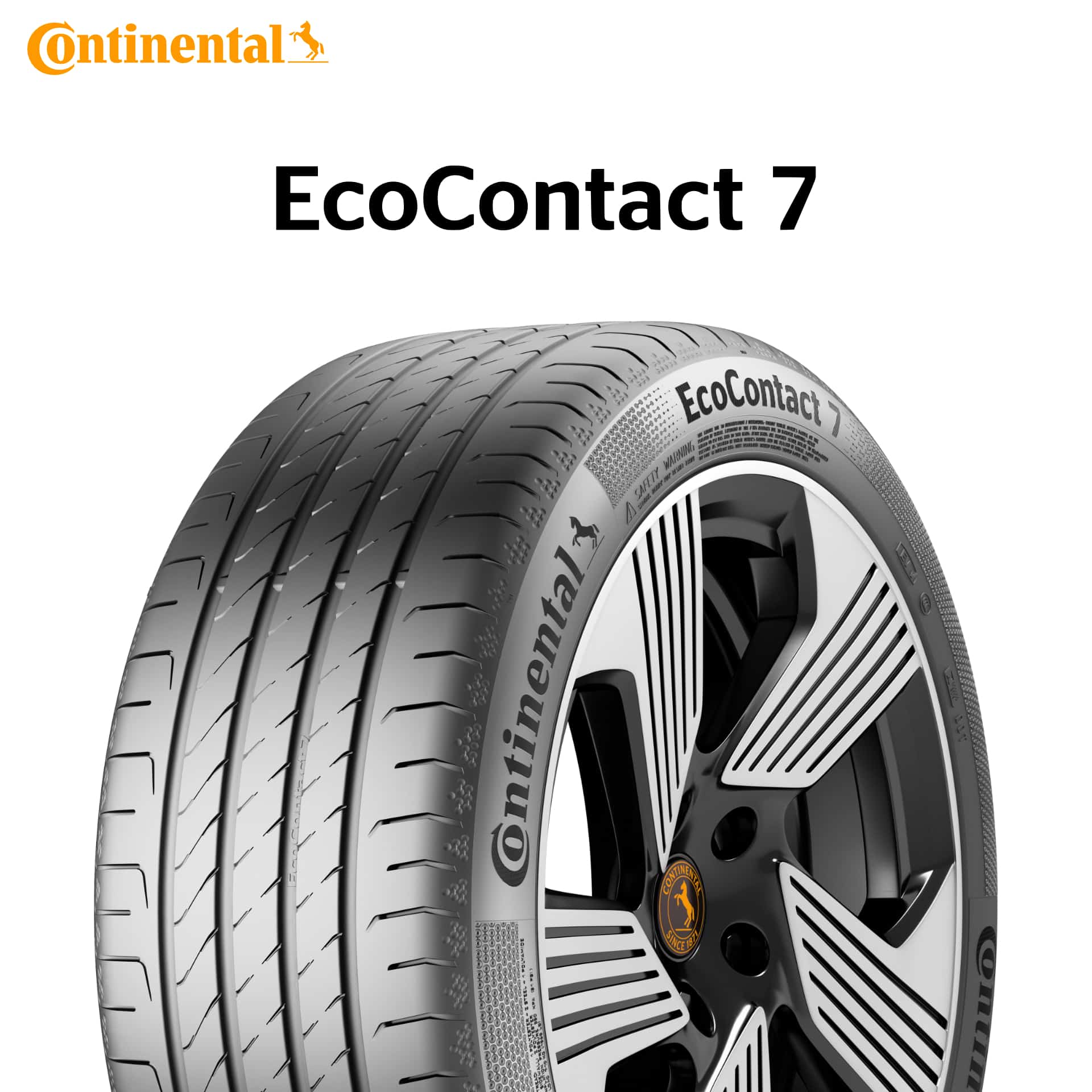 25�N�� 255/35R19 99W XL MO �R���`�l���^�� EcoContact 7 EV HL �G�R�R���^�N�g7 �����Z�f�X�x���c���F�^�C�� EC7 �T�}�[�^�C�� �V�i