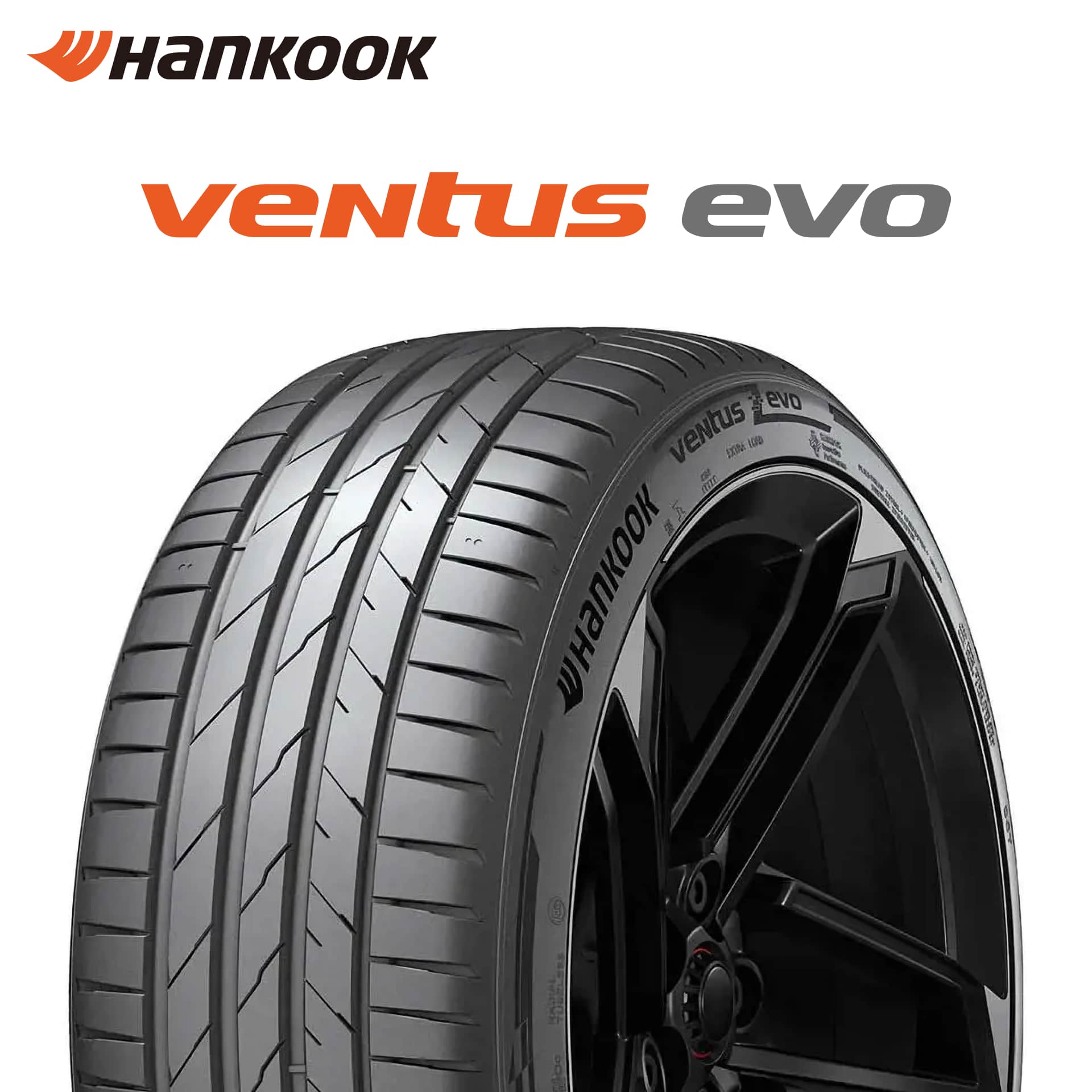 25�N�� 275/30R21 (98Y) XL �n���R�b�N ventus evo K137 �x���^�X �G�{ K137 �T�}�[�^�C�� �V�i