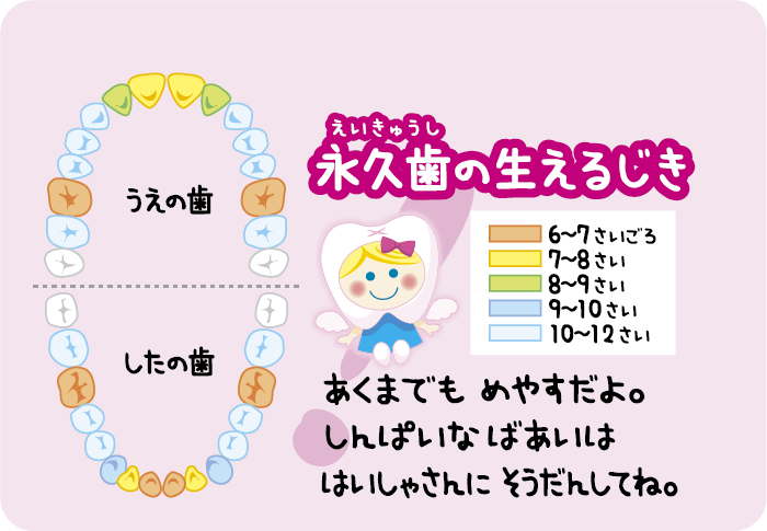 電動歯ブラシ こどもハピカはじめてセット ミニマム こども用 替ブラシ