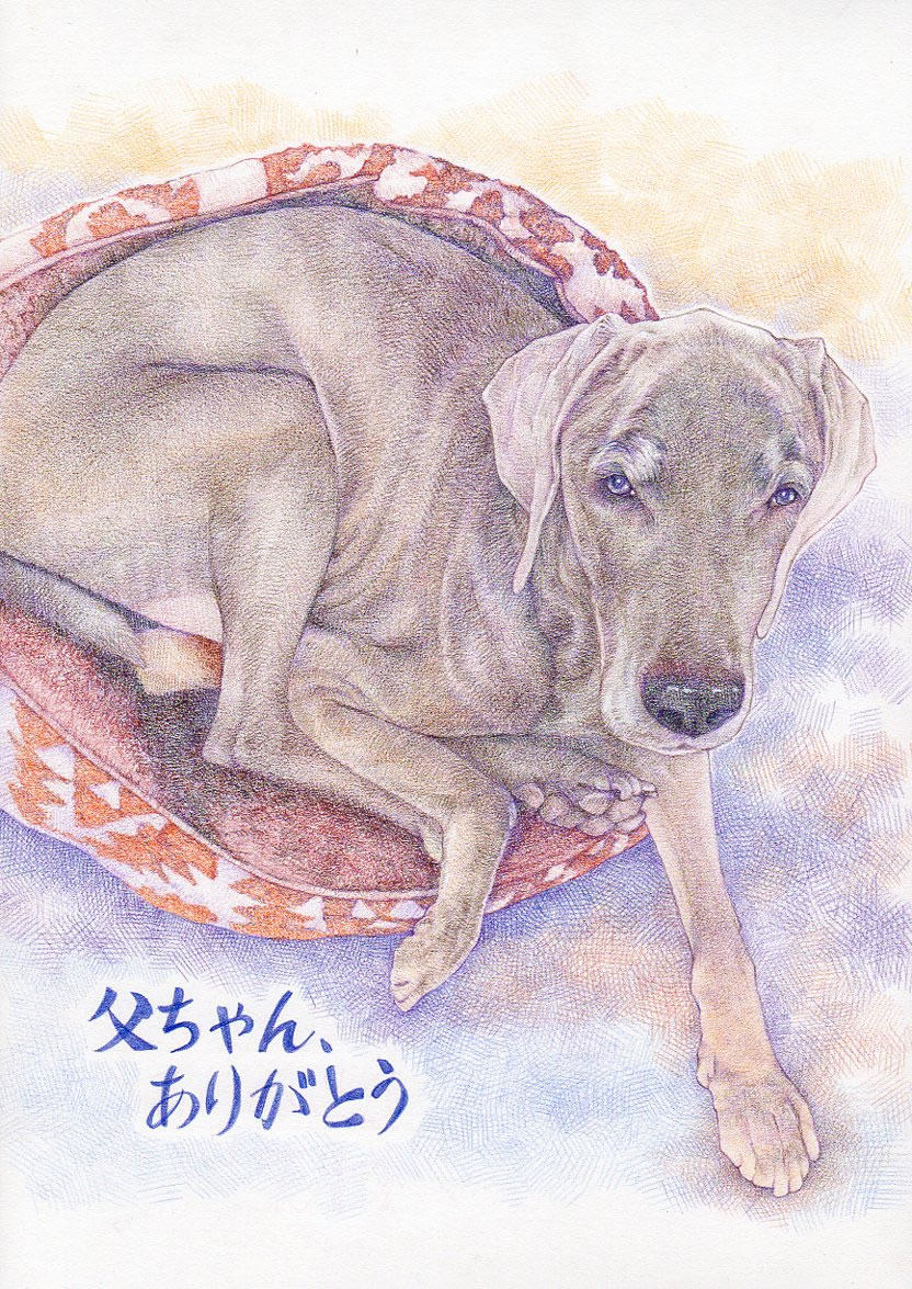 ペット 位牌 供養 遺影 仏具 お悔み 似顔絵 プレゼント 贈り物 お祝い