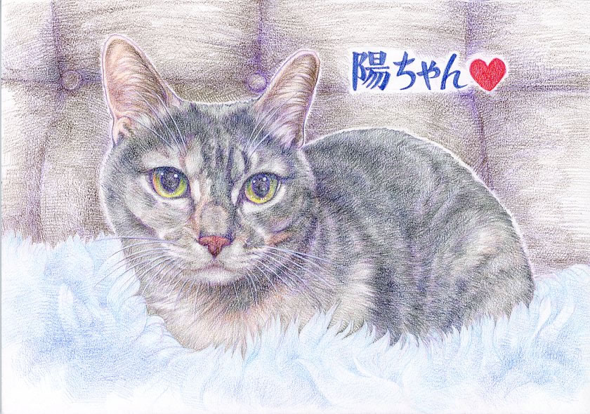 ペット 位牌 供養 遺影 仏具 お悔み 似顔絵 プレゼント 贈り物 お祝い