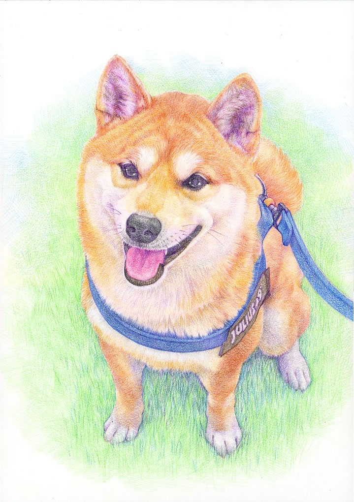 ペット 位牌 供養 遺影 仏具 お悔み 似顔絵 プレゼント 贈り物 お祝い