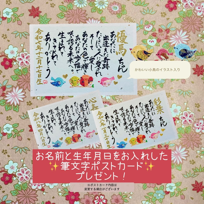 命名書 オーダー 命名用紙 代筆 おしゃれ 台紙 出産祝い 命名紙 手書き