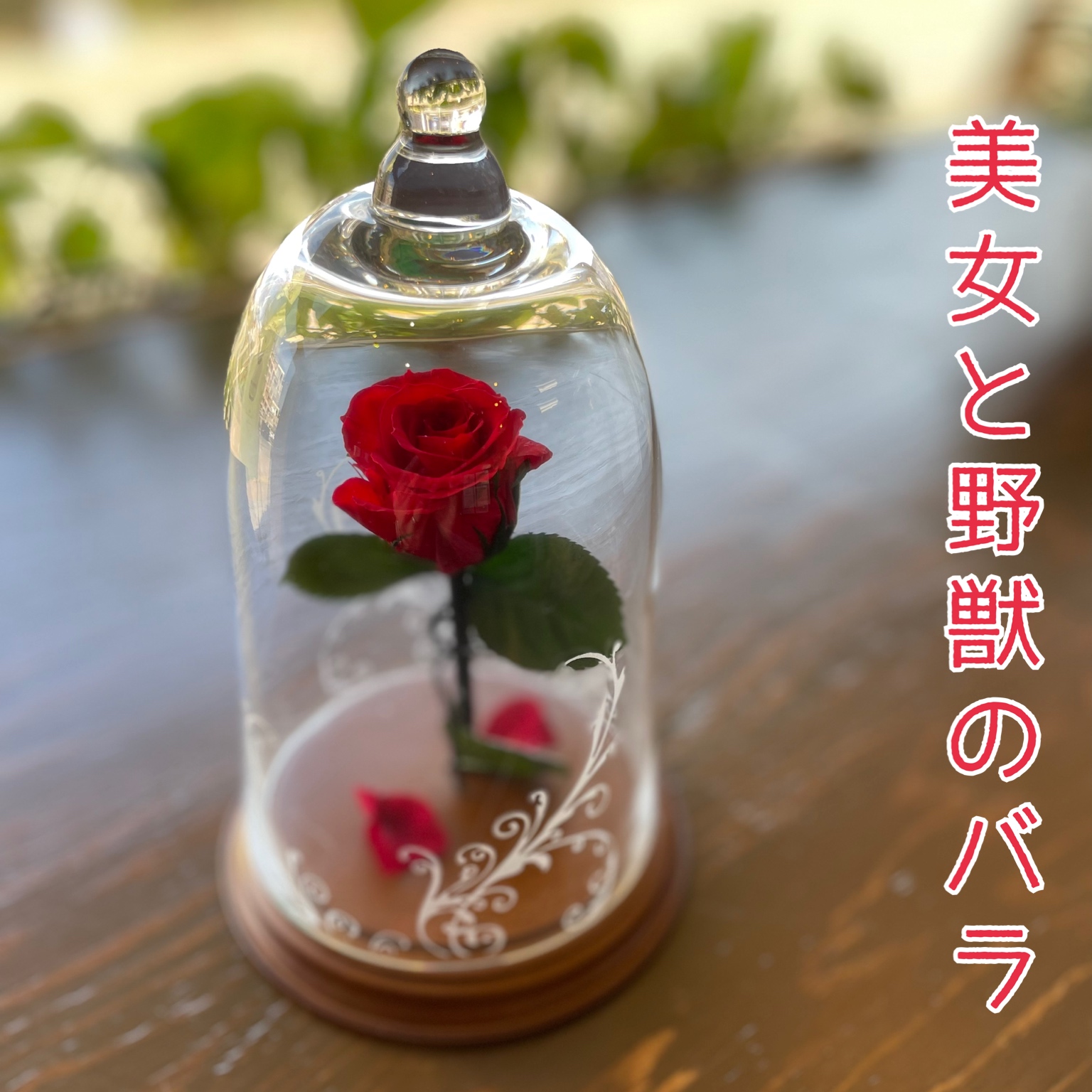 ブリザードフラワー　美女と野獣 プリザーブドフラワー 花キューピット 非加盟店 プロポーズ 花束 美女