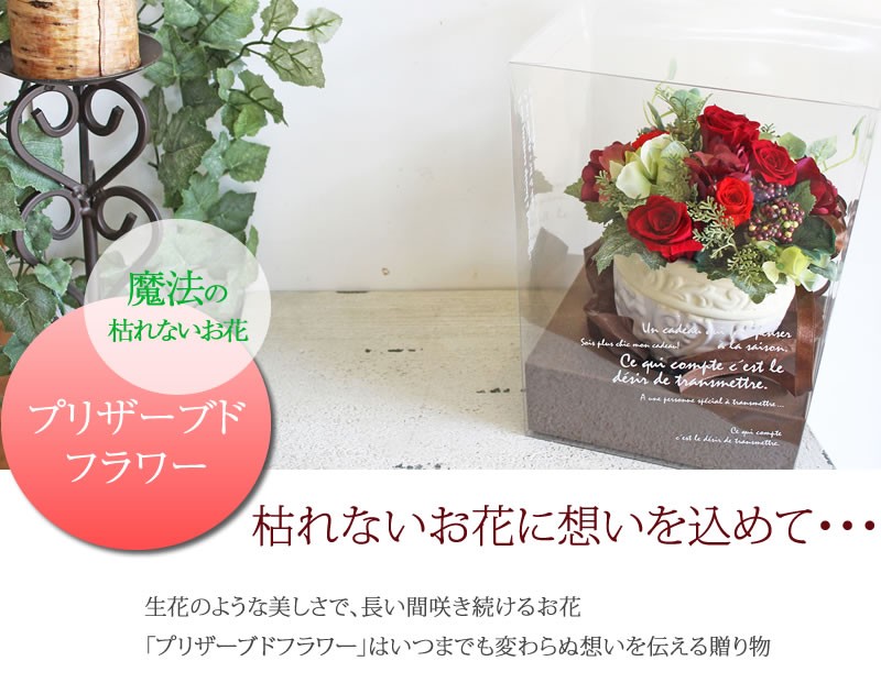 プリザーブドフラワー 誕生日プレゼント 女性 花 ラウンドアレンジ