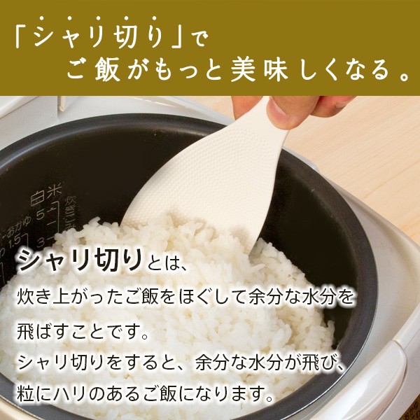 人気ブラドン マーナ 極しゃもじ ホワイト K650 メール便 送料無料 www.misscaricom.com