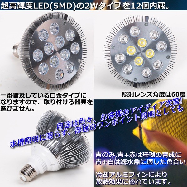 LEDアクアリウムライト E26 24W 珊瑚 LEDライト 水草 水槽用 青8白4灯 アクアリウム スポットライト 海水 植物育成 熱帯魚 鑑賞魚  : 24aquariumlight : プライスバリュー - 通販 - Yahoo!ショッピング