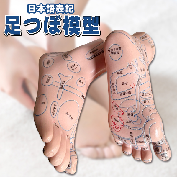 足つぼ 模型 足裏 反射区 日本語 表記 マッサージ ツボ押し 両足 左右