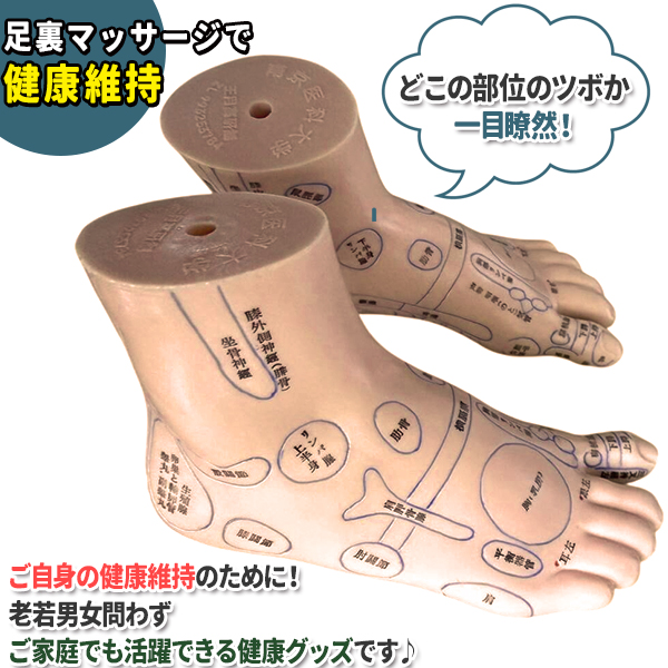 足つぼ 模型 足裏 反射区 日本語 表記 マッサージ ツボ押し 両足 左右