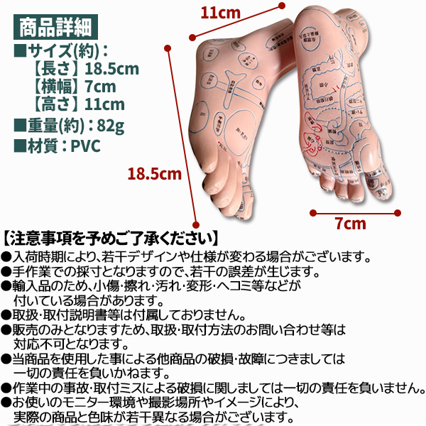 足つぼ 模型 足裏 反射区 日本語 表記 マッサージ ツボ押し 両足 左右