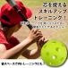 バッティング 練習用ボール 野球 ボール 【 20個入 】練習 バッティング練習用 バッティング練習 打撃練習 練習用 練習器具 穴あき 穴あきボール セット 関連画像1