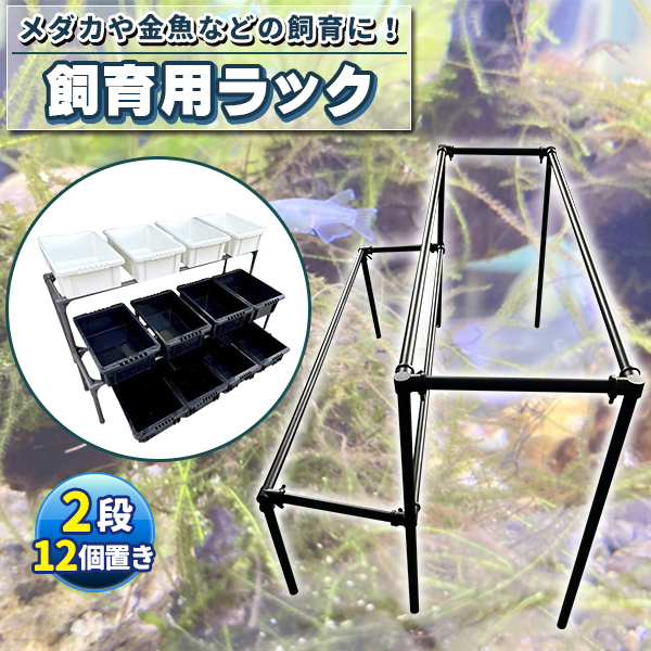 メダカ飼育黒ラック 2段12個置き めだか飼育棚 めだか飼育棚 容器棚 めだか容器産卵撮影 ビオトープ ゾウリムシ PSB ミジンコ 培養 針子 |  | 01