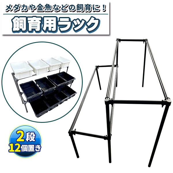 メダカ飼育黒ラック 2段12個置き めだか飼育棚 めだか飼育棚 容器棚 めだか容器産卵撮影 ビオトープ ゾウリムシ PSB ミジンコ 培養 針子 | 