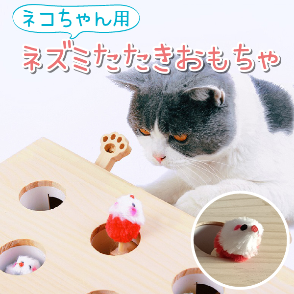 ★メダカ飼育ラック　黒1段8個置き★ めだか飼育ケース　産卵　撮影ビオトープjt ☆メダカ飼育ラック 黒1段8個置き☆ めだか飼育棚 NVBOX