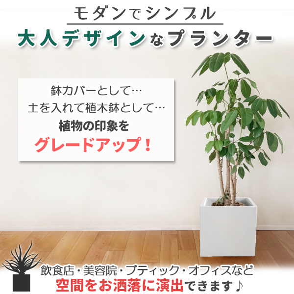 プランター 小型 20×20cm スクエア 正方形 ホワイト 深型 プランター