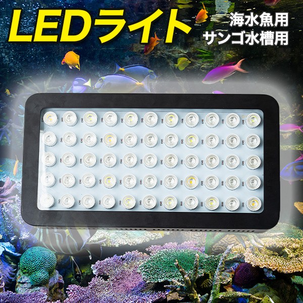 セットアップの通販 珊瑚水槽照明 LEDライト ブラックボックス PSE技術