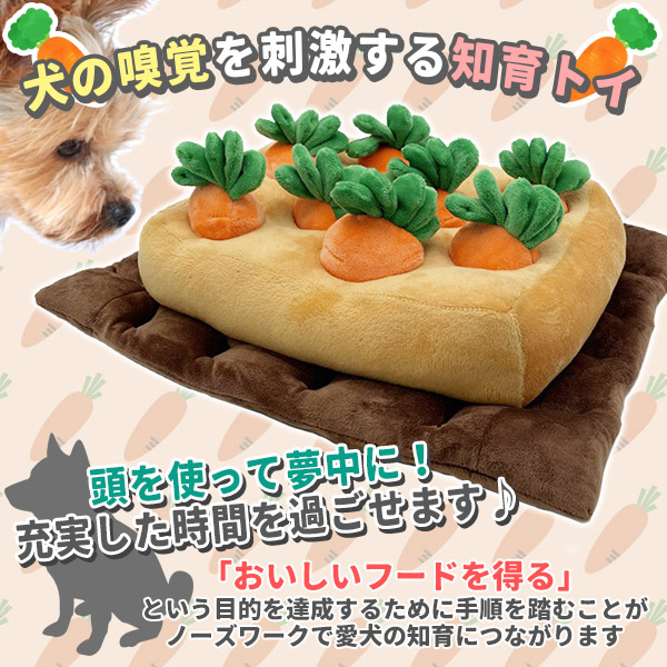 tiikugangu-carrot_1.jpg