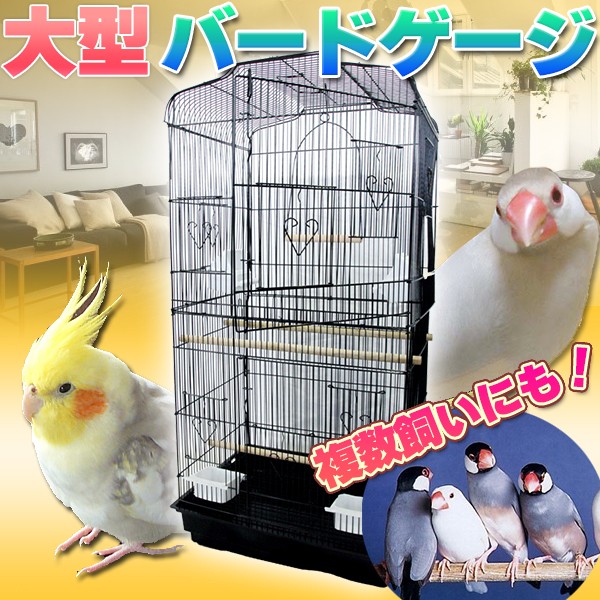 鳥かご バードゲージ 鳥小屋 大型 複数飼い セキセイインコ オカメインコ 文鳥 ケージ ゲージ ブラック ペットグッズ 鳥用品  :torikago:プライスバリュー - 通販 - Yahoo!ショッピング