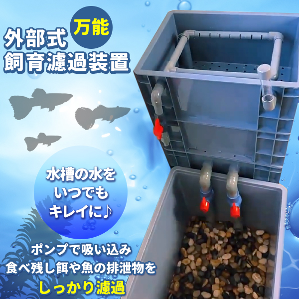 水中ポンプ25wホースマット付き大型水槽万能濾過装置濾過外部式濾過層送料込み 濾過器 ろ過 沈殿層 蓋あり 濾過装置 濾過外部式濾過層 ウィスト
