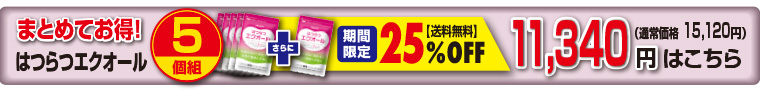 5個セール
