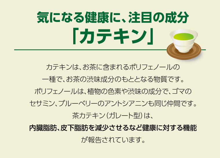 カテキン減肥緑茶5