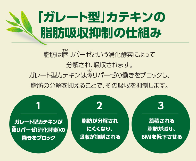 イメージ3