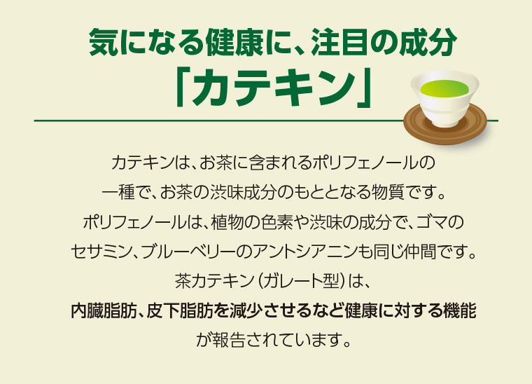 イメージ4