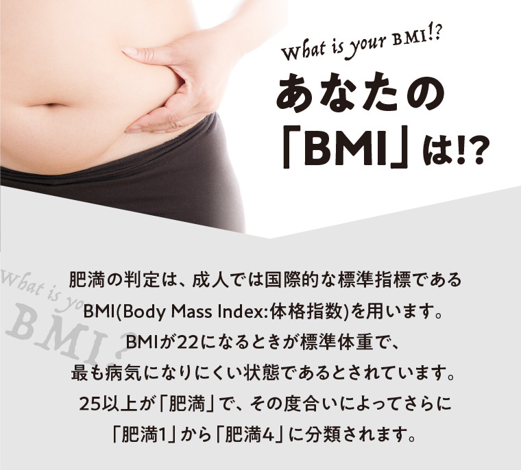 イメージ5