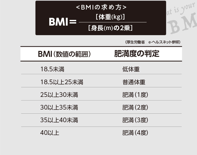 イメージ6