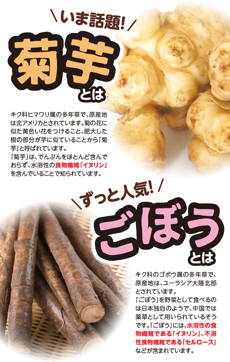 菊芋とは・ごぼうとは