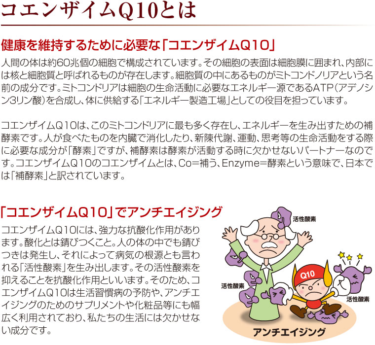 コエンザイムQ10とは2