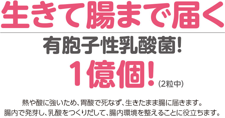 まいにち快通