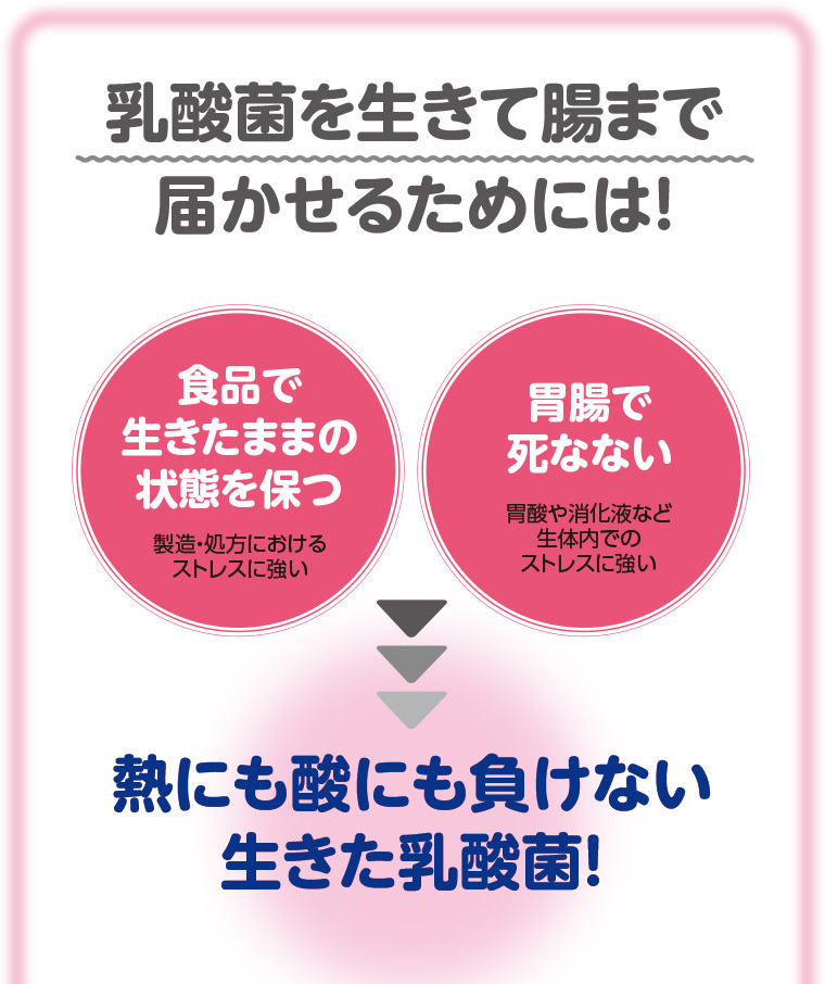 お通じを改善する まいにち快通 機能性表示食品 60粒 30日分 3個組