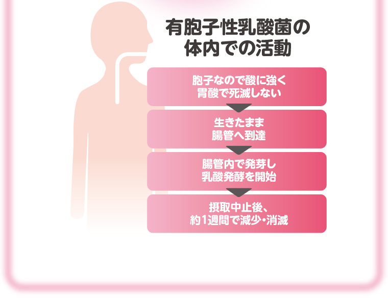 まいにち快通