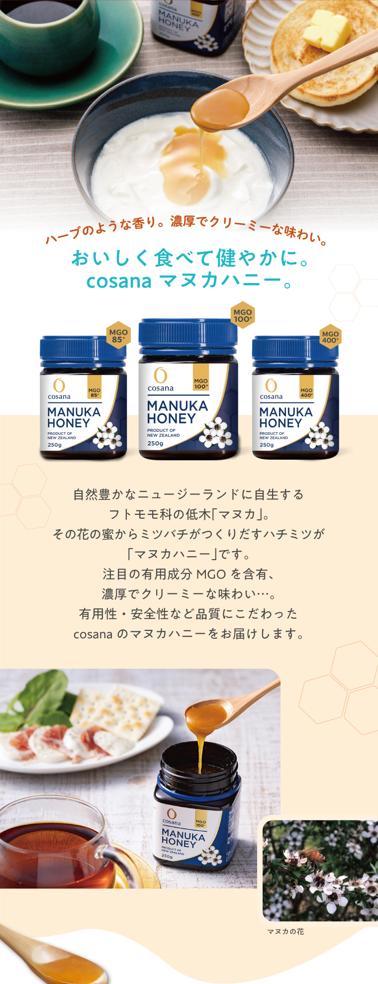 期間限定特価 コサナ マヌカハニー MGO400+ 250g 単品 送料無料 国内