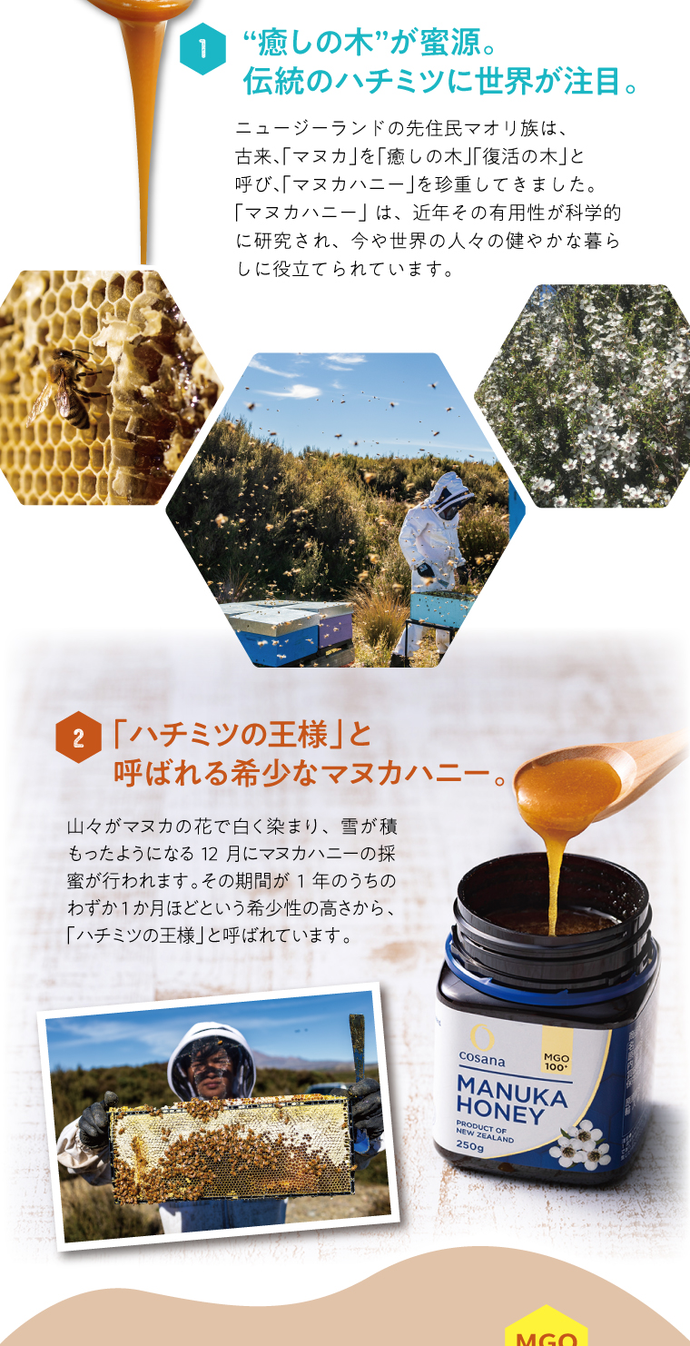 期間限定特価 コサナ マヌカハニー MGO85+ 250g 単品 国内正規品 抗菌