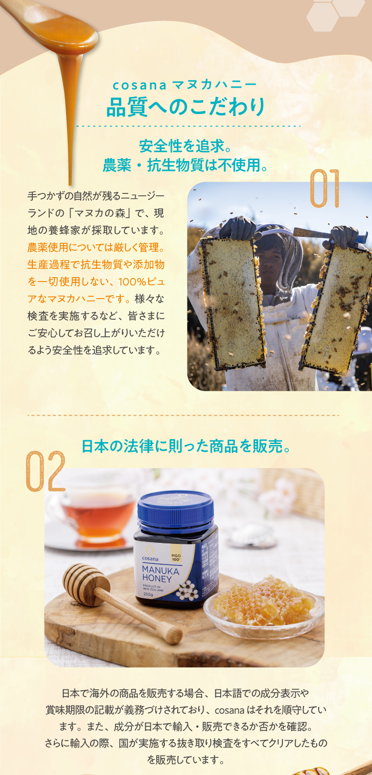 期間限定特価 コサナ マヌカハニー MGO400+ 250g 単品 送料無料 国内