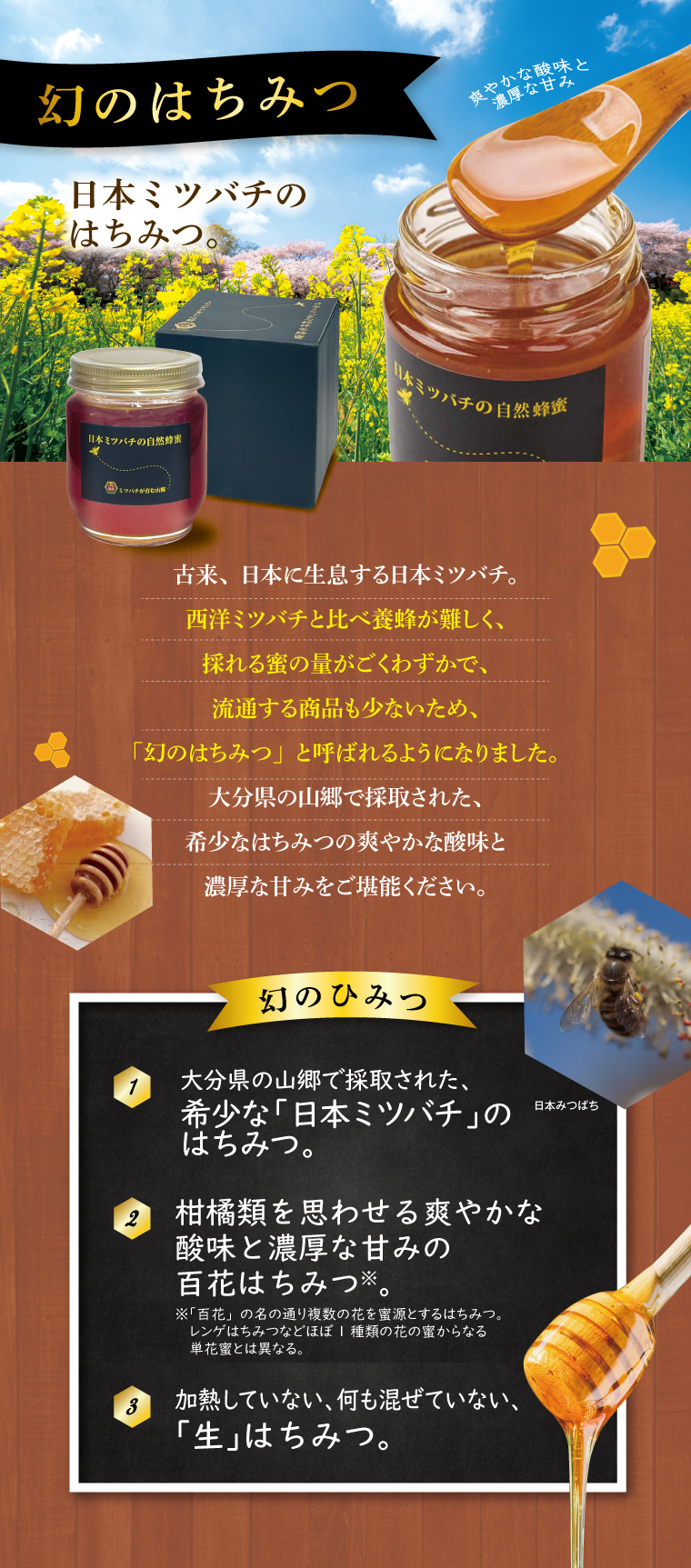 日本ミツバチの自然蜂蜜 220g 単品 新登場 化粧箱入り大分県産百花蜜