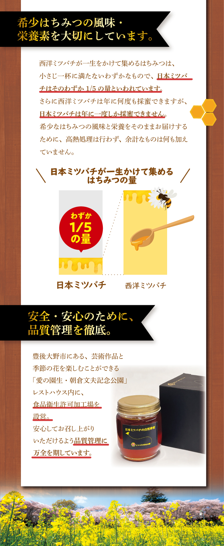 日本ミツバチの自然蜂蜜 220g 単品 新登場 化粧箱入り大分県産百花蜜
