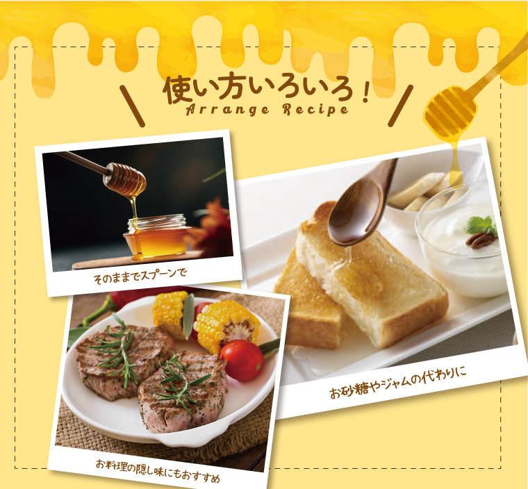 期間限定ポイント10倍 日本ミツバチの自然蜂蜜 220g 単品 新登場 化粧