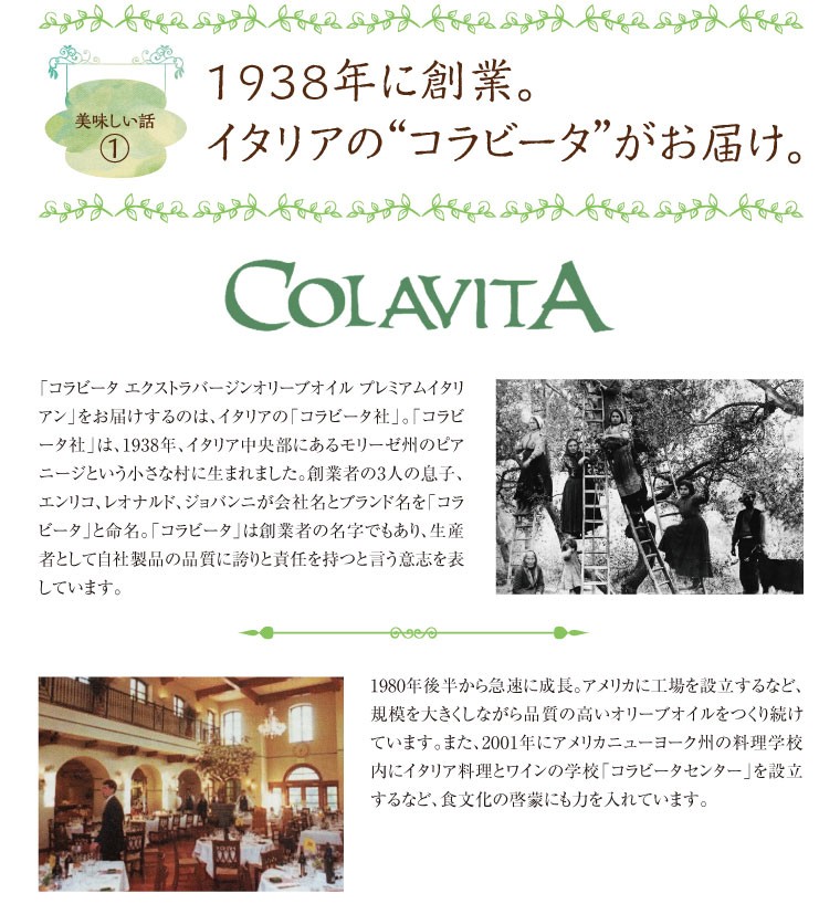 オリーブイメージ4