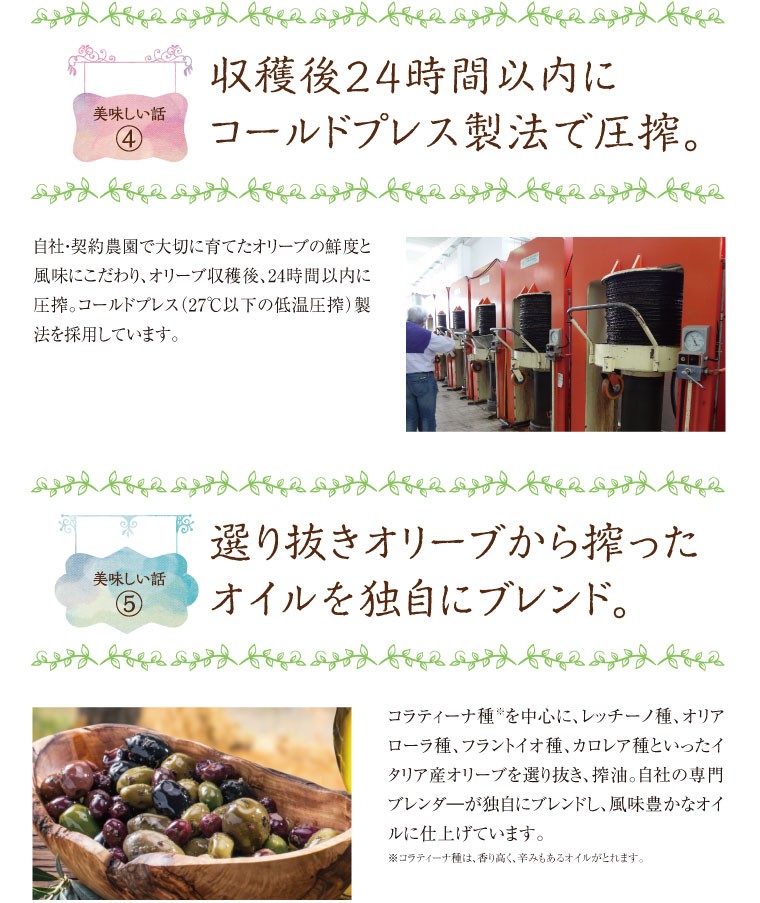 オリーブイメージ8