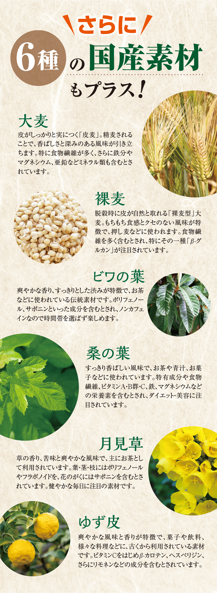 6種の国産素材もプラス！
