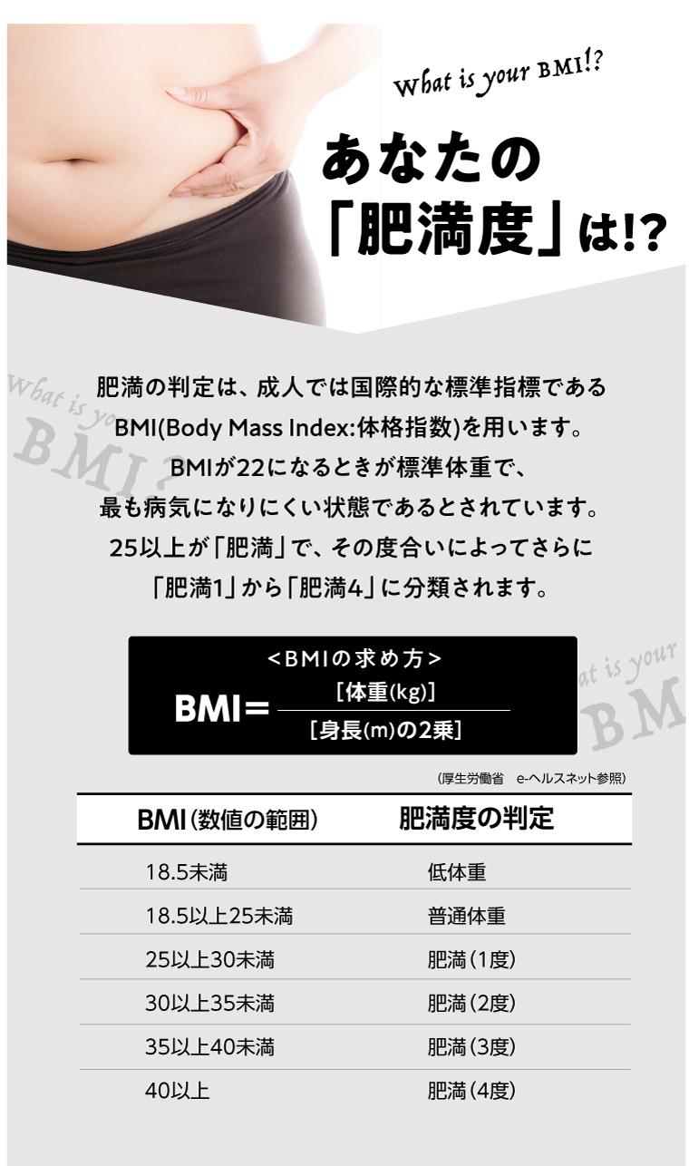 あなたの肥満度は？