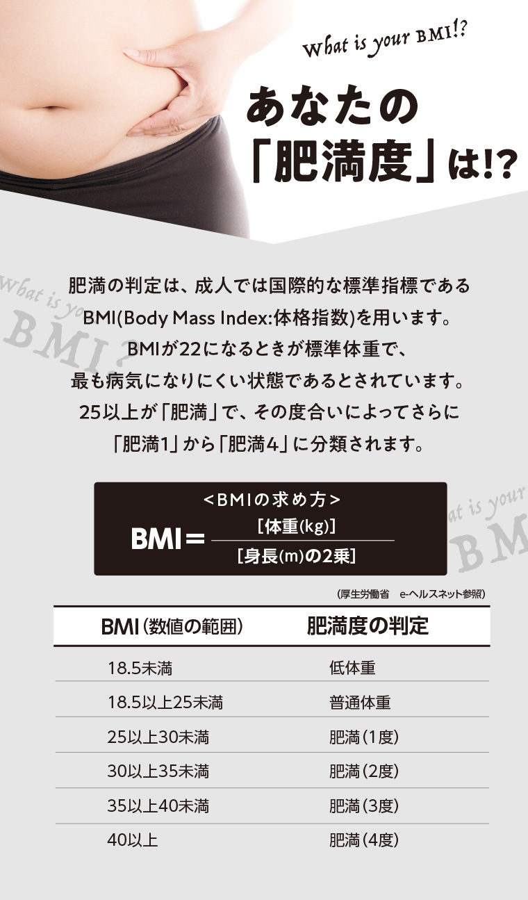 あなたの肥満度は？